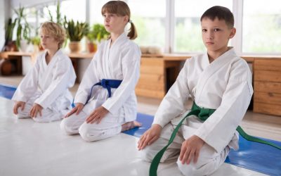 Aikido Training and Safety