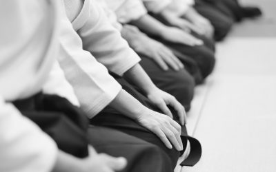 What to Expect from Our Aikido Classes