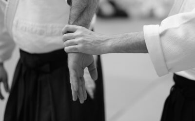 Common Aikido Techniques
