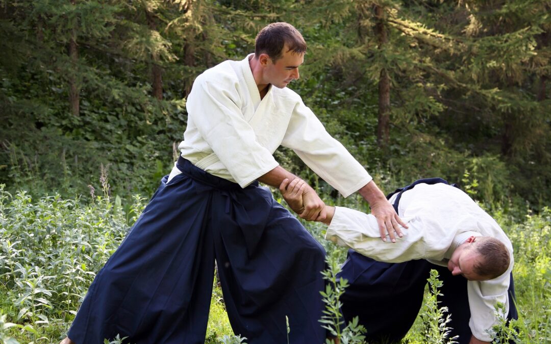 Is Aikido Effective?