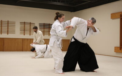 Building Resilience with Aikido